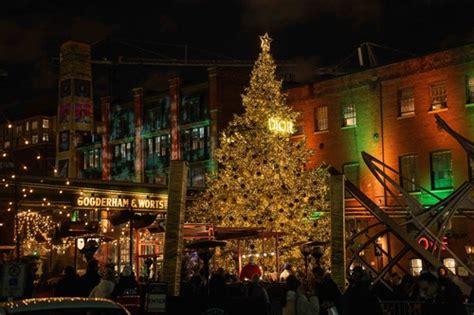 christmas dior tree|distillery district toronto christmas lights.